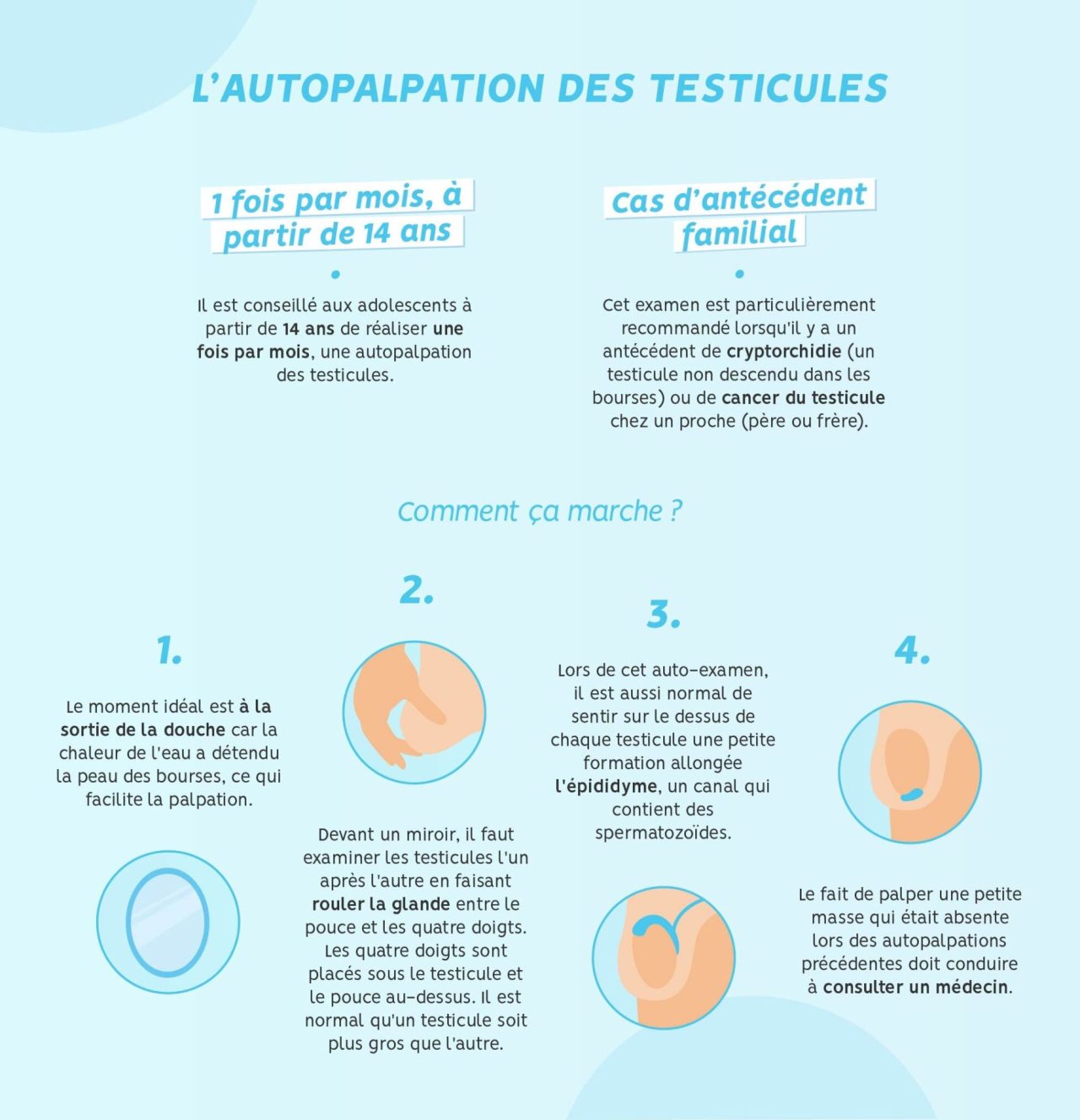 Cancer Des Testicules Annuaire De Soignants Actualités 